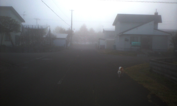 e0227023_21234890.jpg
