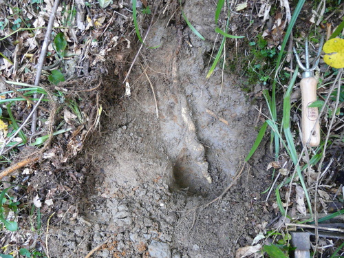 e0147226_22315568.jpg