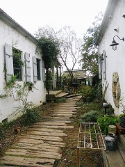 d0139827_1912591.jpg
