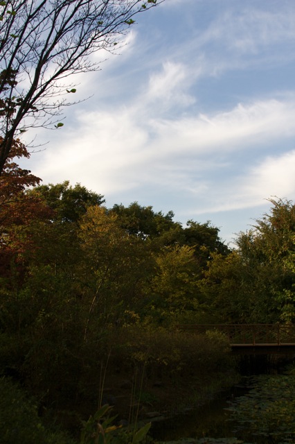 e0021328_23464689.jpg