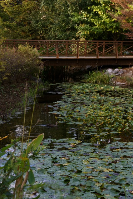 e0021328_23492359.jpg