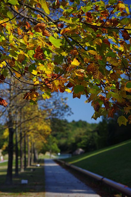 b0134829_2220120.jpg