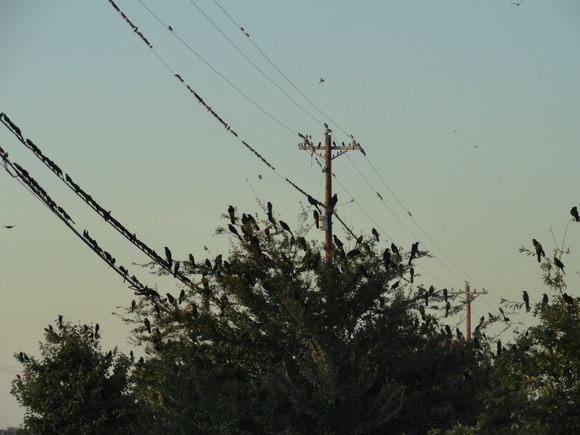 f0238932_444026.jpg