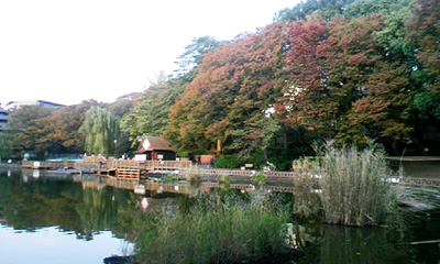 f0034334_20454647.jpg