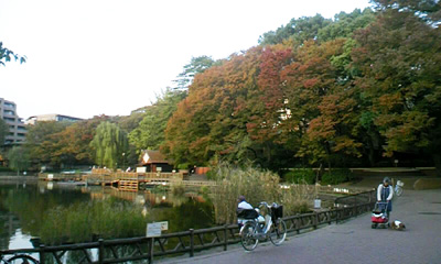 f0034334_2046792.jpg