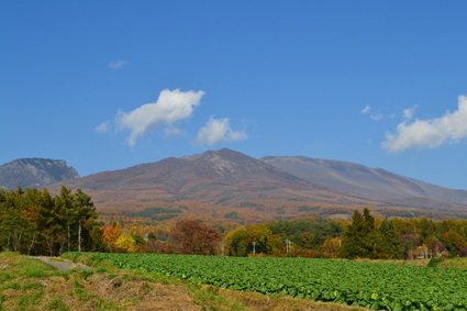 e0228938_1755689.jpg