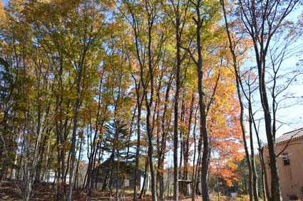 e0228938_18381135.jpg