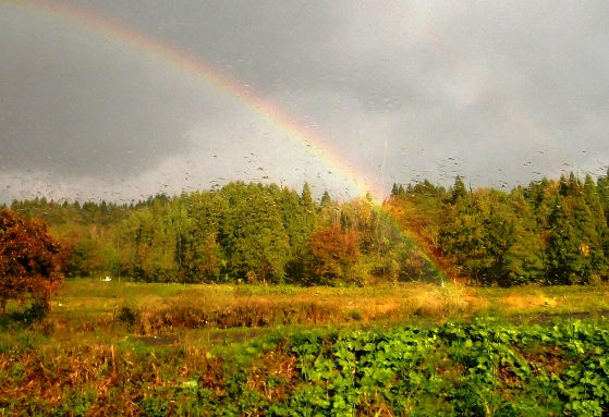 b0041442_23505212.jpg