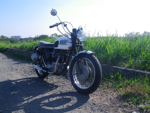 d0252642_2244385.jpg