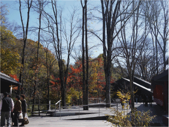 b0182846_20533060.gif