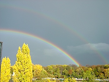 b0117348_201113.jpg