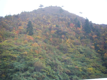 e0085052_2135392.jpg
