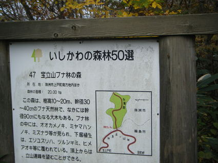 e0085052_2142854.jpg