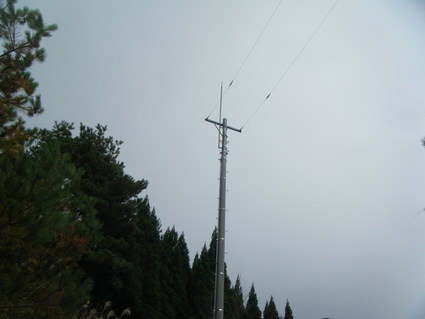 e0085052_2146558.jpg
