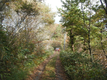 e0085052_2150739.jpg