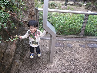 d0031853_4314564.jpg