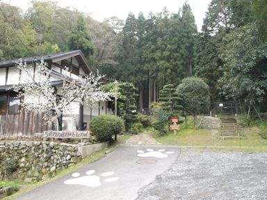 d0111558_19184551.jpg