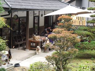 d0111558_19204645.jpg