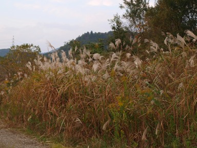 d0111558_2032436.jpg