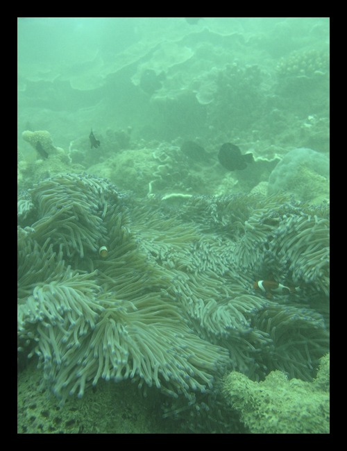b0062363_22122287.jpg