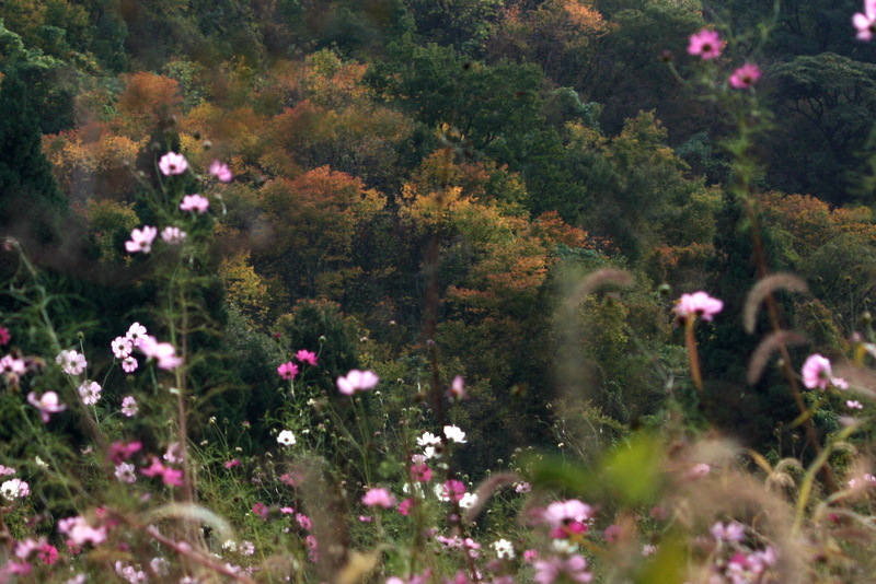 c0183164_21372942.jpg