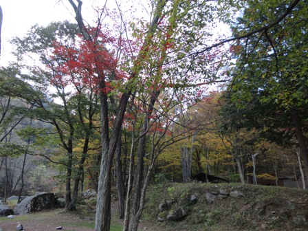 d0152765_1901861.jpg