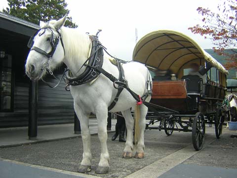 b0180968_2236142.jpg