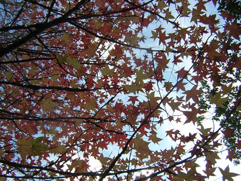 b0180968_2318389.jpg