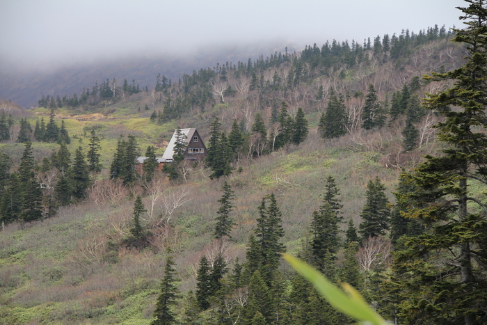 f0223068_18122011.jpg