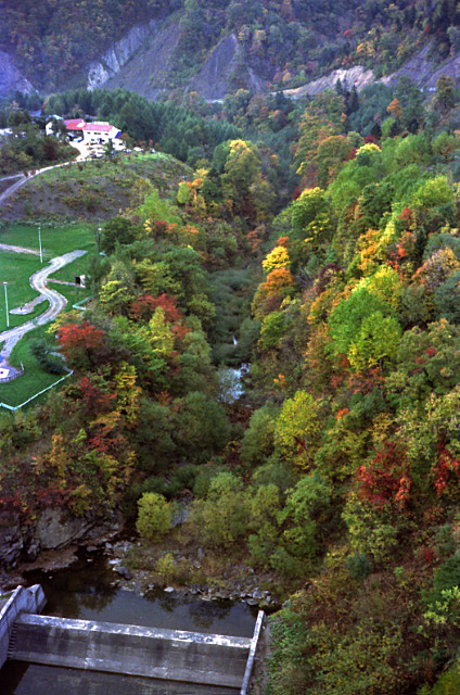 e0100772_20453751.jpg