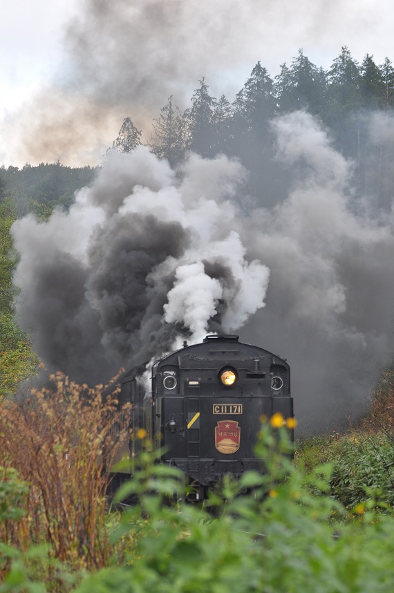 d0091473_6184783.jpg