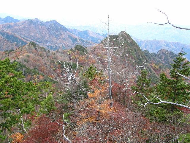 a0191674_14141983.jpg