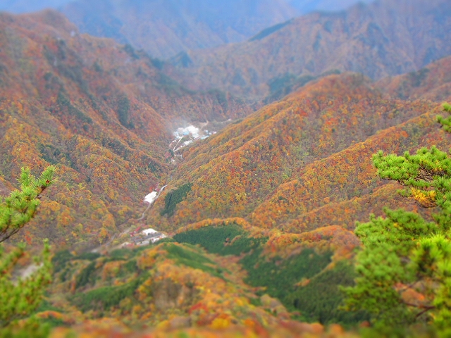 a0191674_14144259.jpg