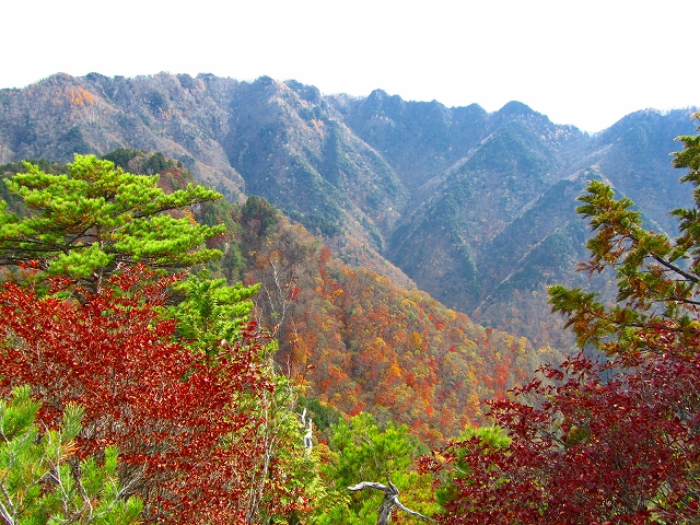 a0191674_143046.jpg