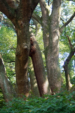 f0054677_7413446.jpg