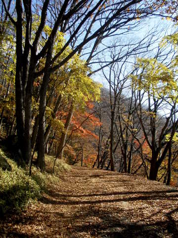 a0160279_22291634.jpg