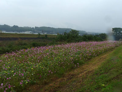 c0152779_1523763.jpg