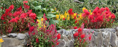 c0152779_15243231.jpg