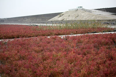 c0152779_15423430.jpg