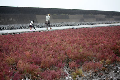 c0152779_1550355.jpg