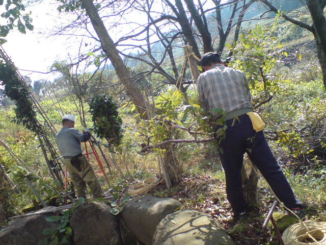 d0182179_1842832.jpg
