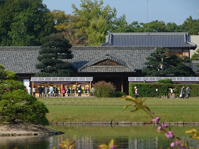 a0185880_1761413.jpg