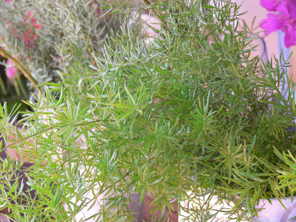 e0140986_1522495.jpg