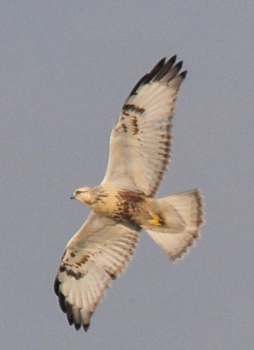 f0159390_1413251.jpg