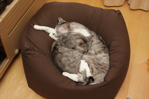 どっかで寝てるんじゃない?