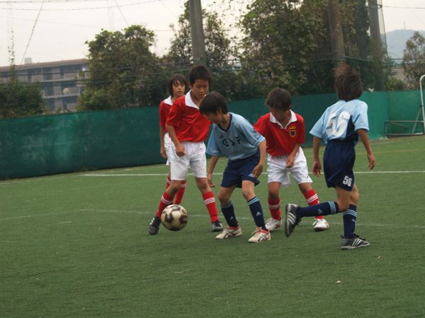 b0005596_6532365.jpg