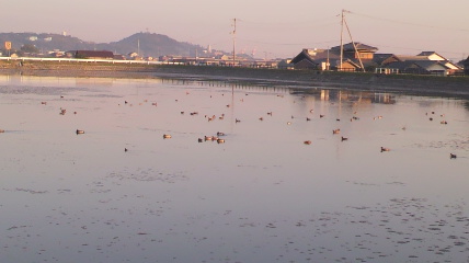 b0206300_19484675.jpg
