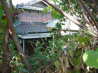 d0240201_20372323.jpg