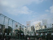 c0088402_1432840.jpg