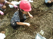 c0088402_1434280.jpg